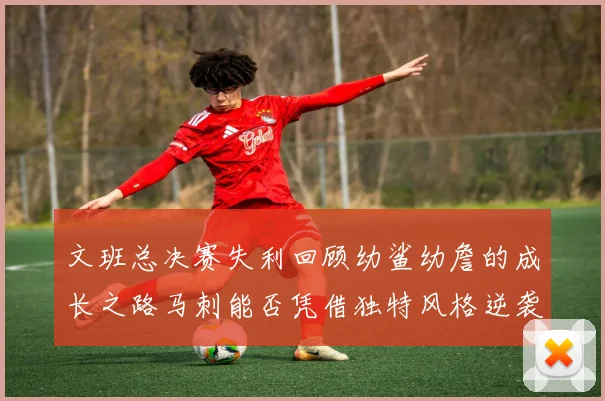 文班总决赛失利回顾幼鲨幼詹的成长之路马刺能否凭借独特风格逆袭成功