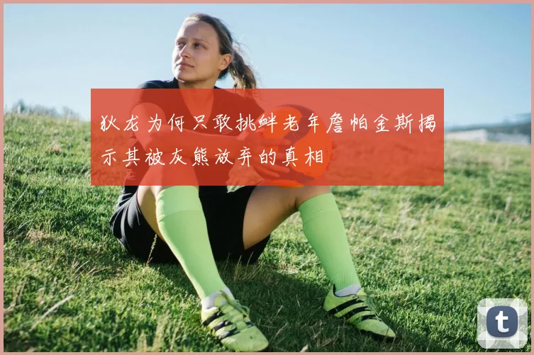 狄龙为何只敢挑衅老年詹帕金斯揭示其被灰熊放弃的真相
