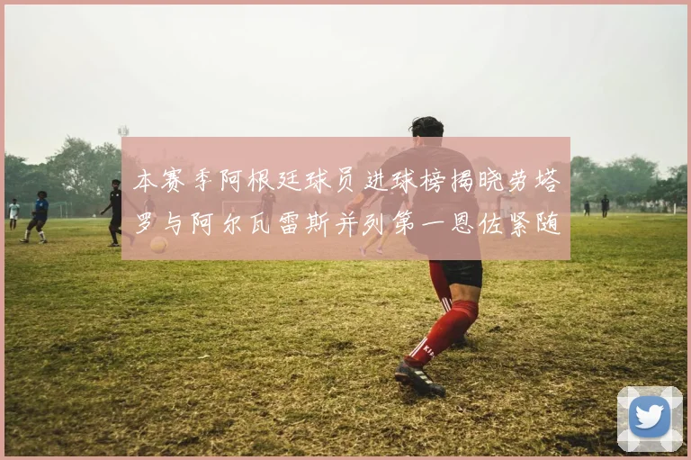 本赛季阿根廷球员进球榜揭晓劳塔罗与阿尔瓦雷斯并列第一恩佐紧随其后
